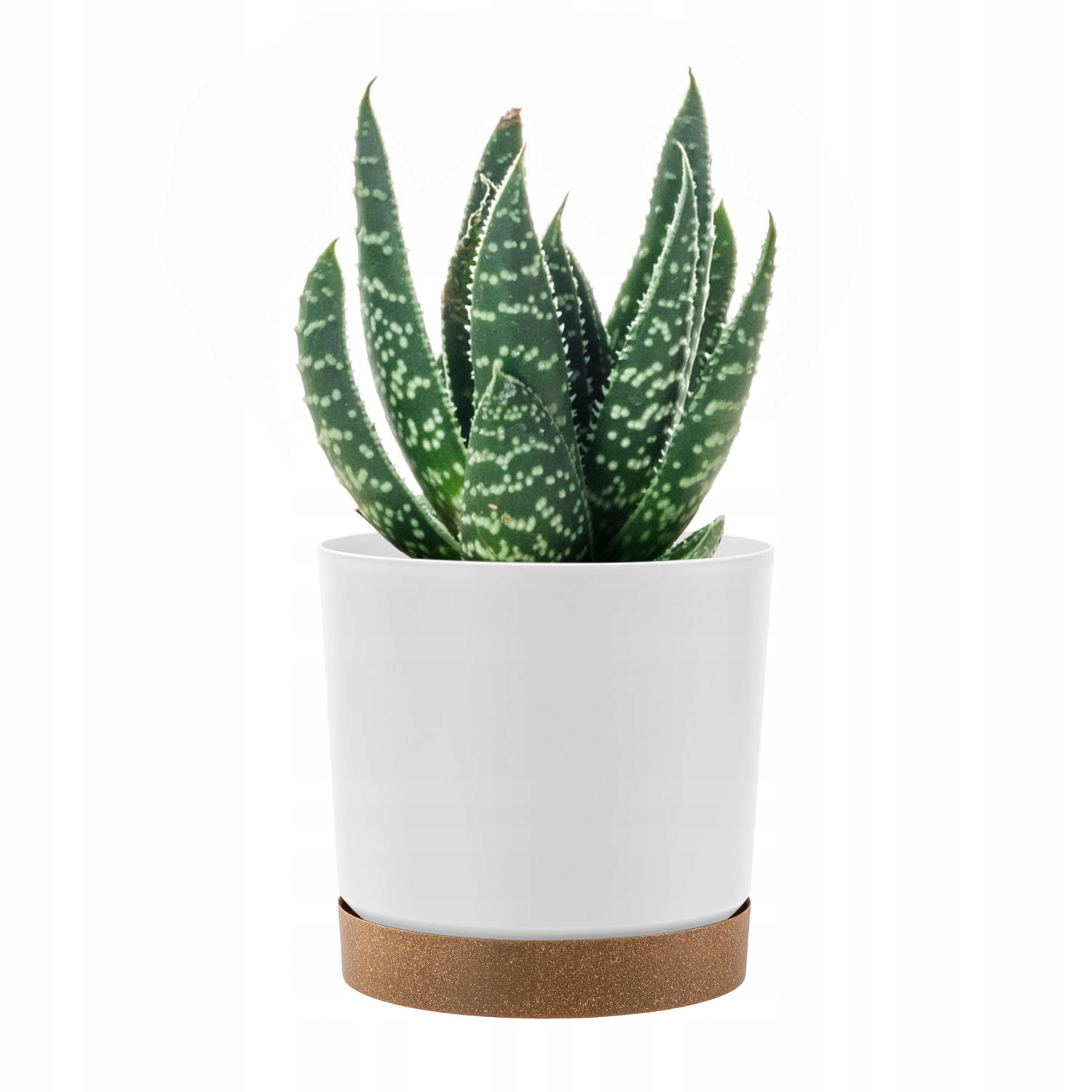 Kvetináč Prosperplast 24 cm x 24 x 23,1 cm priemer 24 cm plast biely, odtiene hnedej a béžovej